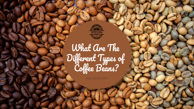 What are the Different Types of Coffee Beans? JOJO JAVA